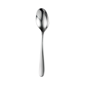 Trenton Cortina Table Spoon