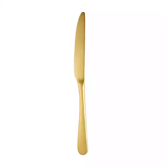 Trenton Miami Gold Table Knife