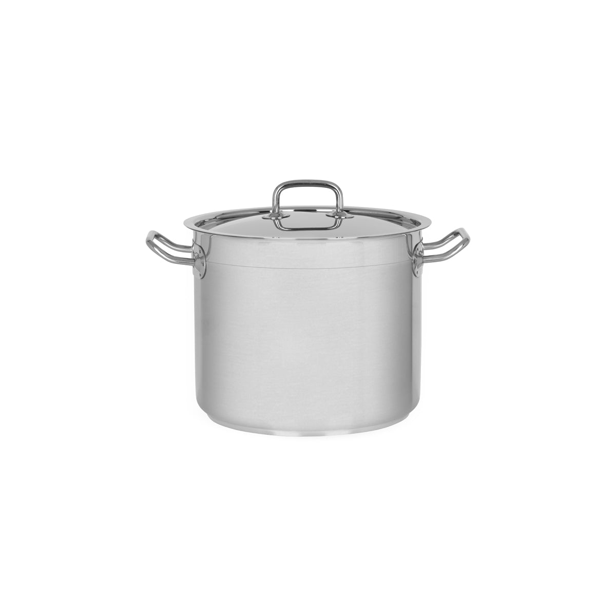 Professional Stockpot with Lid 240x200mm / 9.0Lt