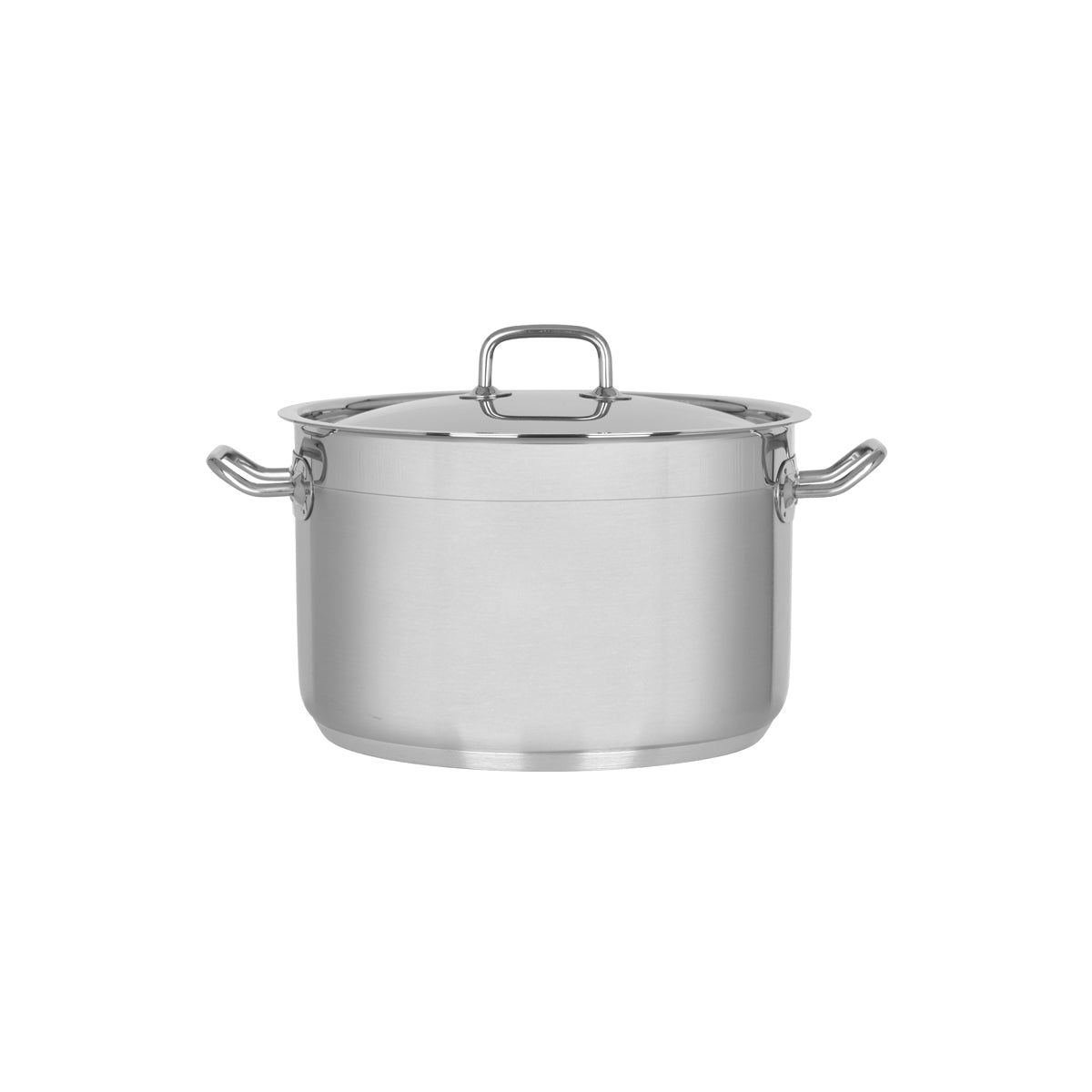 Professional Saucepot with Lid 280x175mm / 10.7Lt