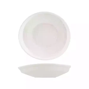 Moda Porcelain Snow Organic Bowl / Plate