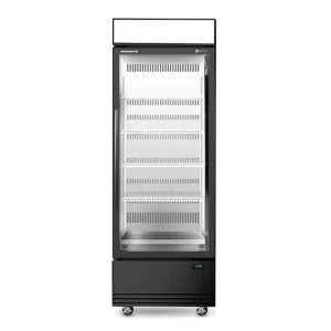 BME600N-AC 1 Glass Door Display or Storage Fridge, Lit Sign