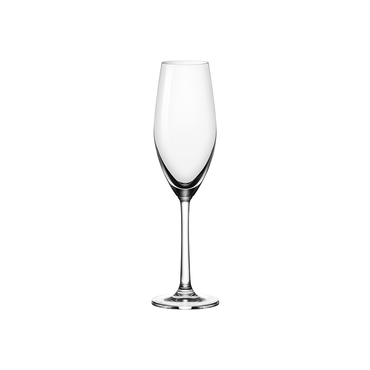 Ocean Sante Champagne Flute