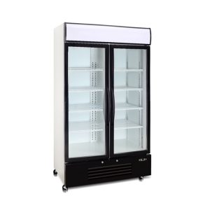 Double Door Display Freezer