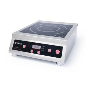 Induction Cooker