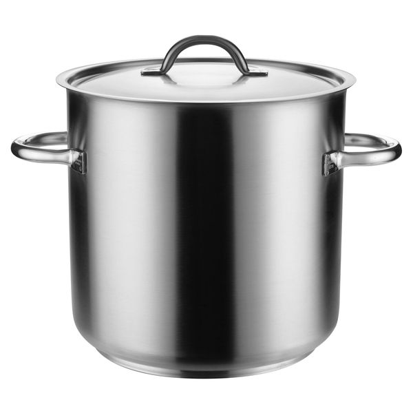 Pujadas INOX-PRO Stockpot with Cover